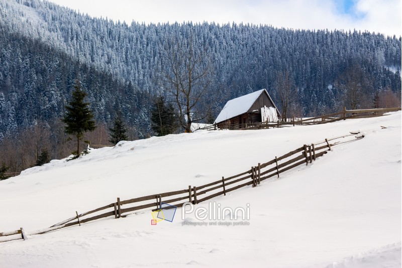 woodshed behind the fence on the hillside cowered with snow nearconifer forest in winter mountains early in the morning