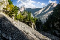 Composite mountain image. Canyon with spruce trees in mountains with rocky peaks