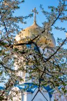 Uzhhorod, Ukraine - 22 March, 2014: Ukrainian Orthodox Church. Christ the Saviour Cathedral on Cyril and Methodius square in spring blossom. Christian architecture for Easter background
