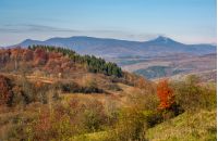 autumn forest on hill in high mountains. beautiful nature scenery with high peak in a distance