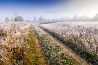 autumn landscape with dirt road through rural field in hoarfrost and morning fog. beautiful view of a countryside in carpathian mountains of ukraine. frosty weather. abandoned area needs investment