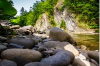 boulders on the shore of the river. lovely nature scenery in forest