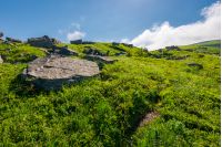 cloud over the grassy hillside with rocks. path uphill in to the sky. lovely summer scenery. tacking and hiking activity background
