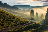 country road through foggy spruce forest on grassy hills. spectacular countryside landscape in mountains at sunrise