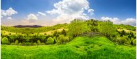 summer panorama landscape. fence on the hillside meadow  near the forest in fog on the mountain