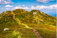 winding footpath through meadows with rocks on the hillside of Carpathian mountain range. Beautiful summer landscape