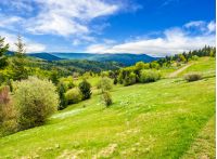 composite countryside landscape. forest in mountain rural area. grassy agricultural field on a hillside. beautiful summer scenery