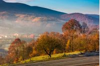gorgeous foggy morning in autumn countryside. lovely rural scenery in mountainous area