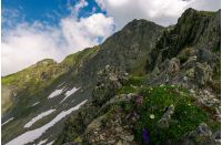 grass and some purple flowers on a rocky cliffs of Fagaras mountains in Romania. beautiful summer weather with clouds on a blue sky