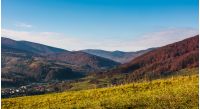 grassy hillside in mountainous rural area. beautiful mountainous countryside in autumn