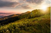 grassy meadow on a hillside at gorgeous reddish sunset. beautiful summer scenery