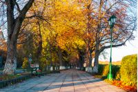 green city light on autumn embankment. beautiful urban scenery with colorful foliage on trees in the morning light