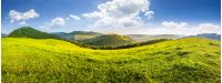 panoramic summer landscape. Hillside meadow in high mountains in morning light