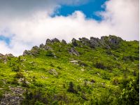 huge rocks on the edge of a mountain ridge. beautiful Carpathian nature