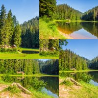 Summer landscape set of images. Spruce forest around the lake in mountains