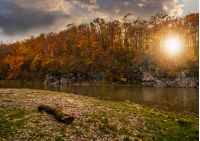 log on a rocky shore of forest river with yellowed and reddish trees on rocky cliff in autumn mountains. gorgeous nature autumnal landscape