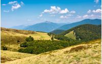 lovely mountainous landscape in summer. scenery with forested hills and grassy meadow under the blue sky with fluffy clouds
