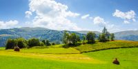 panorama of grassy agricultural field with haystacks and orchard. lovely rural summer landscape in mountains
