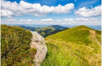 landscape with grassy meadow and giant boulders on the slope of a hill in Carpathian mountain ridge.  beautiful sunny summer day