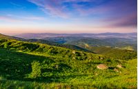 grassy meadow with giant boulders on the slope. mountain ridge on a beautiful sunny summer day. wonderful Carpathian landscape 