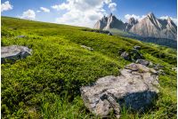High Tatra mountain summer landscape. meadow with huge stones among the grass on top of the hillside near the peak of mountain range