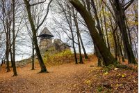 medieval fortress in autumn leafless forest. Nevytsky castle is popular tourist destination of TransCarpathia, Ukraine