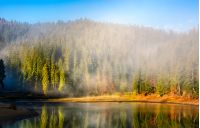 View on crystal clear lake with smoke and reflection on the water. Spruce forest on foggy autumn morning. Majestic mountain landscape at sunrise.