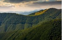 mountain ridge with forest on hills at sunrise. beautiful nature scenery in early autumn