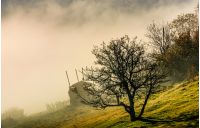 gorgeous autumnal countryside scenery with naked tree and haystack on hillside in fog at sunrise
