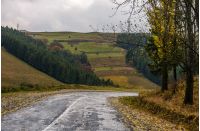 old countryside road on rainy day. gloomy autumn scenery in mountainous area