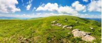 panorama of beautiful carpathian alpine meadows. wonderful summer landscape. fluffy clouds on the blue sky. stones on the edge of a hill