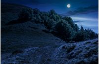 path through mountain meadow. dark forest on side of the hill. summer landscape at night in full moon light