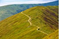 winding road through large meadows on the hillside of Polonina mountain range