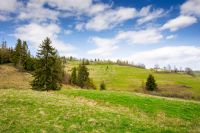 rolling hill with green field under cloudy sky in spring. scenic view countryside landscape in carpathian mountains of ukraine. travel destination and scenic view. place for vacation and escape