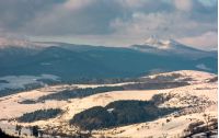 rural area in winter Carpathians. agricultural fields and spruce forests on snowy hillsides. huge mountain ridge with Pikui peak in the distance