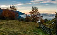 rural scenery with fence and trees at foggy sunrise in mountains. gorgeous autumn landscape with rising clouds