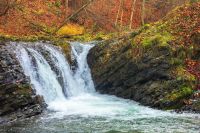 small forest waterfall in autumn. beautiful nature scenery on the river. clear water, fallen foliage and moss on the boulders
