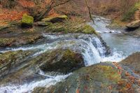 small forest waterfall in autumn. beautiful nature scenery on the river. clear water, fallen foliage and moss on the boulders. view from above