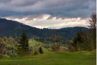 springtime landscape in mountain. gloomy afternoon weather. trees on a grassy hill. overcast sky. dramatic nature scenery