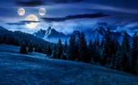 spruce forest on grassy slope at night. composite landscape with High Tatra mountains in the distance in full moon light. beautiful summer scenery. background for fake news or conspiracy concepts