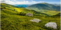 huge stones among the grass on top of the hillside meadow near the edge of a mountain. vivid summer panoramic landscape.