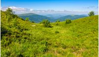summer mountain landscape. green meadow on the top of hillside in Carpathians