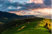 wonderful countryside in mountains at sunset. path through grassy hill. cloudy purple sky. beautiful springtime nature scenery.