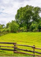 wooden fence on grassy rural field with tree. lovely springtime scenery 