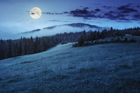 summer panoramic landscape. fog from conifer forest surrounds the mountain top at night in full moon light