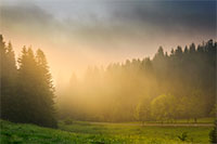 rays of the morning sun breaking through the clouds and fog to the clearing of coniferous forests