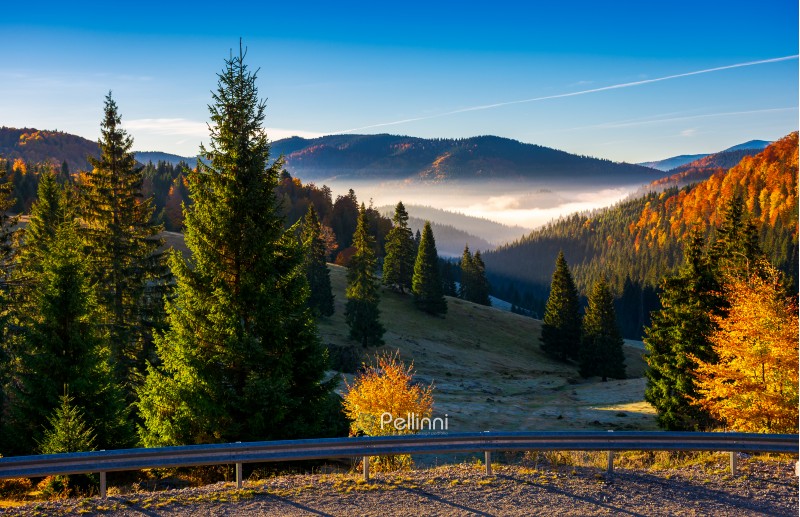 Balileasa valley of Apuseni mountains. gorgeous autumn sunrise with glowing fog among the spruce forest. Bihor mountain in the distance. beautiful travel destination of Romania