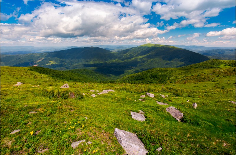 Carpathian alps with huge boulders on hillsides. beautiful summer landscape on overcast day. Location Polonina Runa, Ukraine