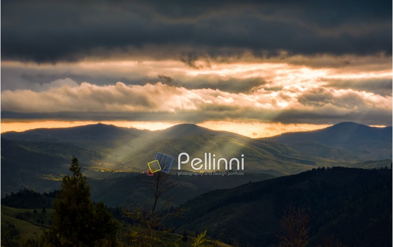 Carpathian valley lit by sunbeams. Spectacular mountain landscape at cloudy sunset