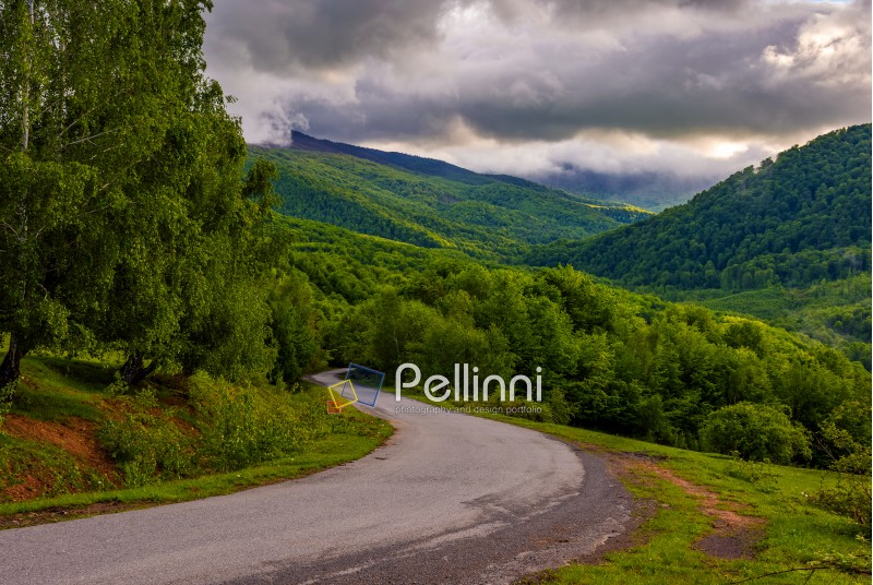 Empty asphalt countryside road winding in mountains. Beautiful Carpathian landscape at cloudy sunrise